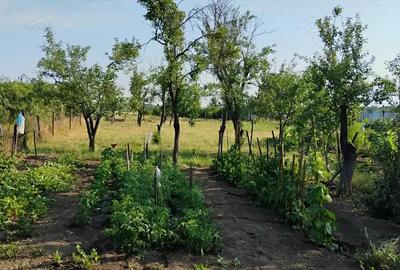 Casa de vanzare Casa de vanzare - 8