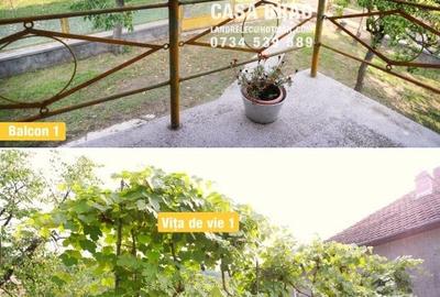 Casa mare cu ~4000mp teren plat, in zona verde, linistita, in orasul Brad, HD - 6