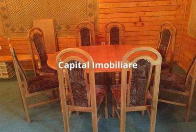 Vila superba 7 camere, Provita de Jos, 22.000 mp teren - 4