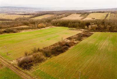 Teren intravilan de 7089 mp, în Ceica - 2