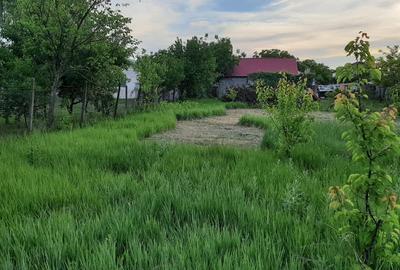 Casă cu 4 camere cu Teren 1425 Mp în Central - 3