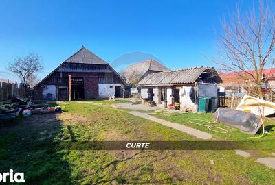 Casă cu 3 camere cu Teren 3724 Mp în Apa - 10