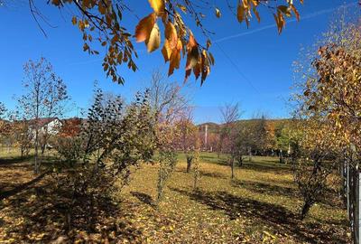 Teren de 1688 mp, în Brebu - 2