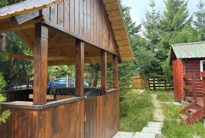 Casă cu 3 camere în Dosu Bricii - 3