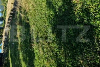 Teren de 2500 mp, în Central - 4