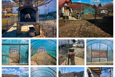 Casă cu 4 camere cu Teren 1600 Mp în Valea - 6