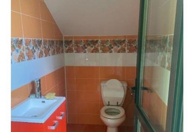 Inchiriere Vila P+1+M in Jilava - 11