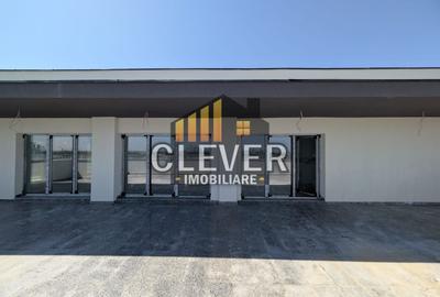 Penthouse cu 4 camere decomandat în Theodor Pallady - 5