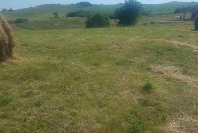 Teren de 7000 mp, în Săliște - 2