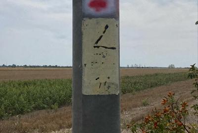 Teren de 15000 mp, în Fierbinți