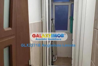 Drumul Taberei Raul Doamnei apartament 2 camere de inchiriat - 6