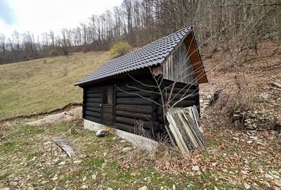 Teren de 12800 mp, în Remeți - 4