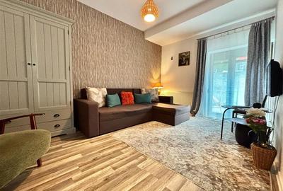 Studio Cochet PetFriendly Predeal - 2