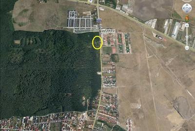 Teren de 10000 mp, în Nord