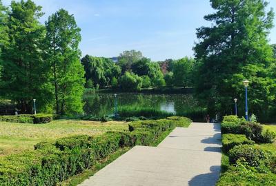 Apartament decomandat în Parcul Circului