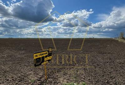 Teren extravilan pentru constructii industriale 5ha | Sag | Frigoglass Teren extravilan pentru constructii industriale 5ha | Sag | Frigoglass - 3