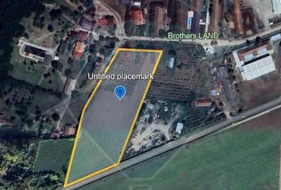 Teren 16,500 mp Sofronea - 3