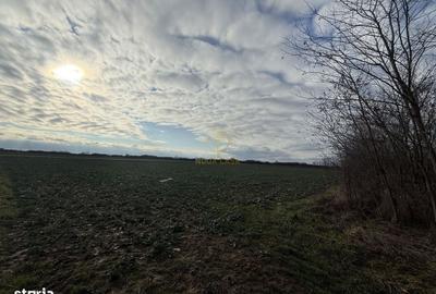 Spațiu comercial, în Botizului - 6