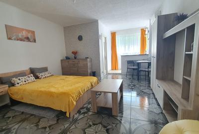 Garsonieră semidecomandată în Costin Georgian