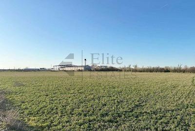 Teren industrial Santandrei Teren industrial Santandrei - 2