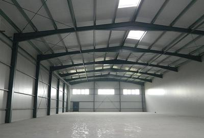 Hala noua productie / depozitare ,1000 mp , zona Aradului - 4