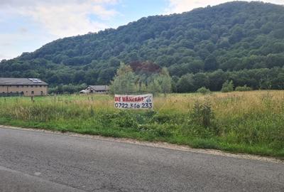 Teren agricol extravilan de 2500 mp, în Glăjărie - 6