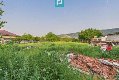 Casa cu 3 camere in Gal?a, Arad, teren 1197 mp Casa cu 3 camere in Gal?a, Arad, teren 1197 mp - 13