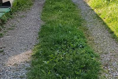 Casă cu 4 camere cu Teren 300 Mp în Central - 3