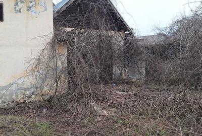 Spațiu comercial, în Dragalina - 3