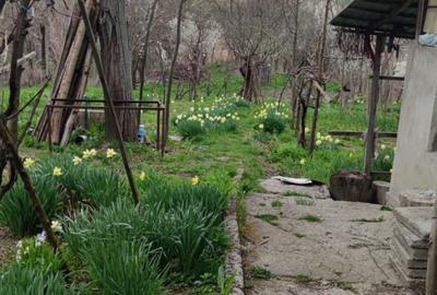 Casă cu 4 camere cu Teren 2000 Mp în Bujoreni - 7