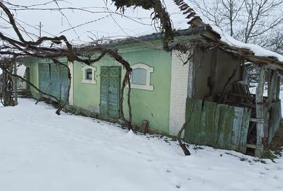 Casa cu Anexe, Gradina + 2Ha Terenuri - 4