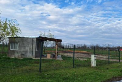 Spațiu comercial, în Moisica - 4