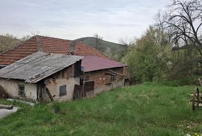 Casă cu 4 camere cu Teren 35000 Mp în Nadanova - 4