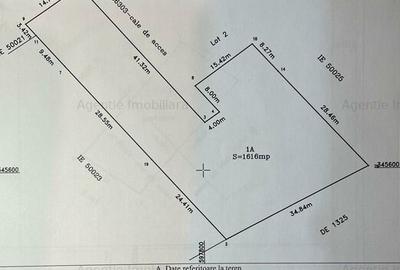 Teren Construcții intravilan de 1616 mp, în Dascălu - 2