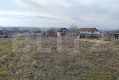 Teren în Malu Mare - 4