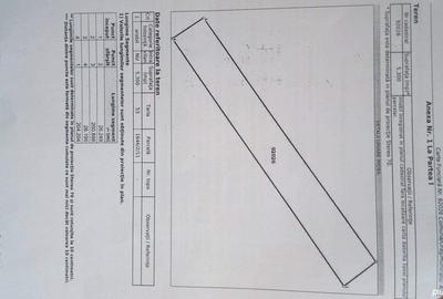 Teren de 5300 mp, în Ciumbrud - 1