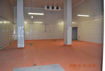 De vanzare hala/spatiu industrial, teren 2166mp, Bucuresti-Magurele - 9