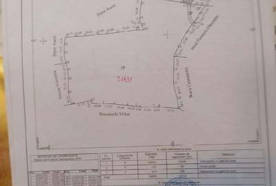 Teren de 25000 mp, în Plai - 1