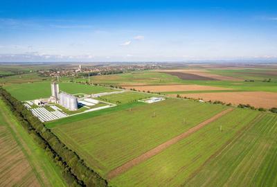 Teren de 104000 mp in Vinga - 4