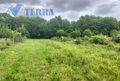 Teren Construcții intravilan de 1100 mp, în Est - 3