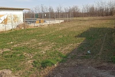 Teren de 1000 mp, în Cătunu - 1