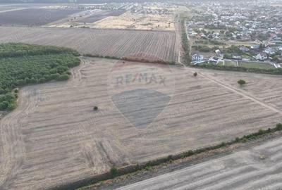 Teren de 40300 mp, în Tamași - 1