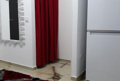 Garsonieră decomandată, mobilată în Nerva Traian - 7