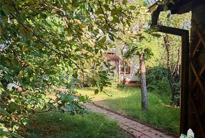 Vila deosebita, Brancoveanu, Luica, curte generoasa. Merita - 4