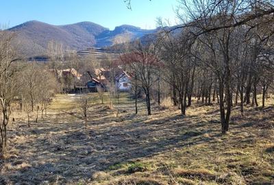 Teren Construcții intravilan de 1271 mp, în Izvoarele (Livezile) - 22