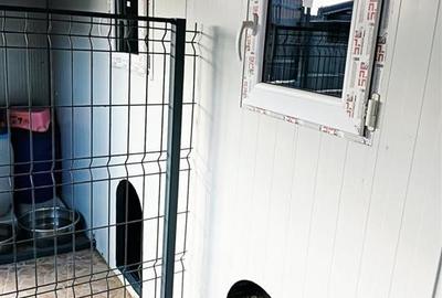 Casa individuala de vanzare cu priveliste frumoasa si garaj - 15