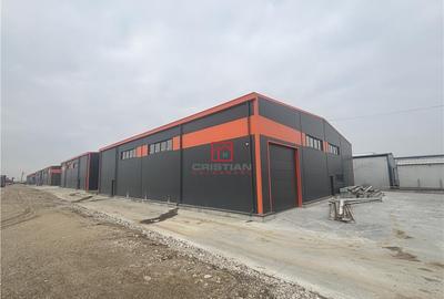 OCAZIE..BLACK FRIDAY... depozit/hala/spatiu industrial Pante - 26