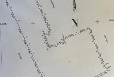 Teren de 10000 mp, în Neagra - 1