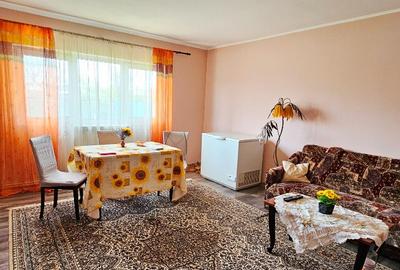 Proprietate Slobozia-Roznov, casa mansardata, teren si livada - 2