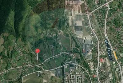 Casă cu 20 camere cu Teren 4563 Mp în Bughea de Sus - 17